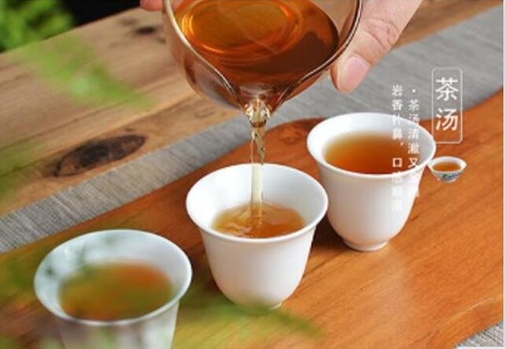 Tylin was developed by cross breeding from Tea Research Institute of Fujian Academy of Agricultural Sciences with tiegua
