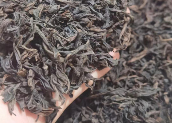 Oolong Tea Decomposing Fat Floral Flavor