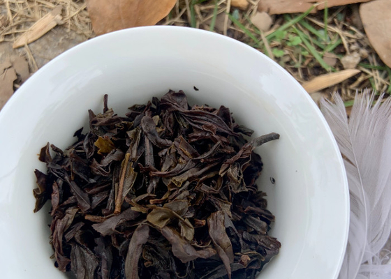 100°C Brewing Temperature Revealing the Fruity Essence of Aged Pu Erh Tea