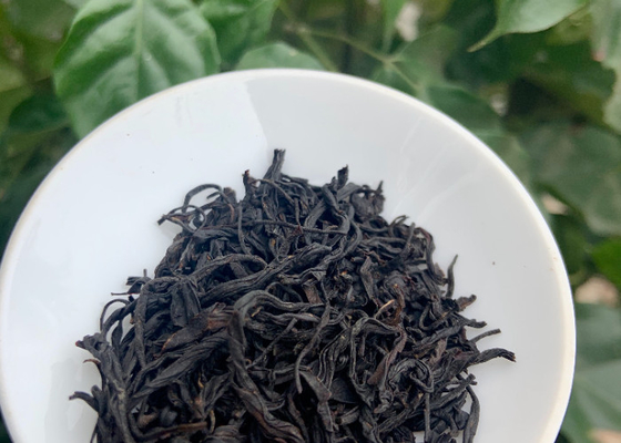 18 Month Warranty Lapsang Souchong Black Tea