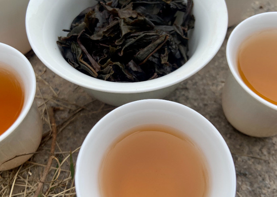 Embark on a Healthier Journey with a 3-5 Minutes Brewing Time Healthy Alternative To Tea