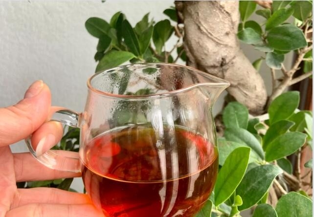 Tylin was developed by cross breeding from Tea Research Institute of Fujian Academy of Agricultural Sciences with tiegua