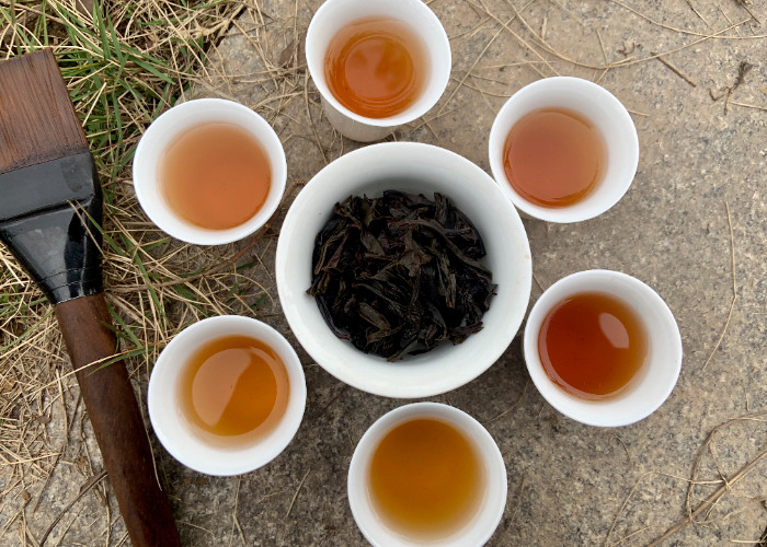 Embark on a Healthier Journey with a 3-5 Minutes Brewing Time Healthy Alternative To Tea
